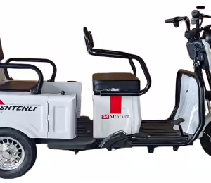 Электрический трицикл SHTENLI Model А034 2 в одном SLA 48/20 249w 25км/ч