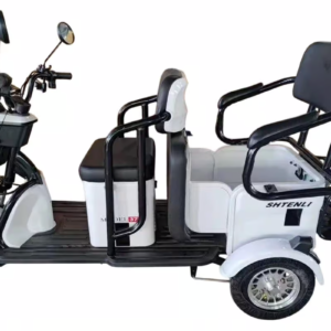 Электрический трицикл Бизнес Класса SHTENLI Model 37 lion 60/20 249w 25км/ч