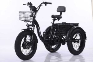 Электровелосипед Shtenli Trike PRO li-on 48/10.4