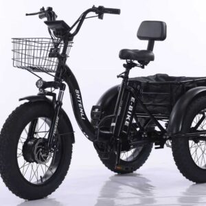 Электровелосипед Shtenli Trike PRO li-on 48/10.4